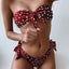 Ensemble de bikini deux pièces élégant à imprimé léopard