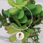 Beautiful Cat Lady Pendant Bracelet