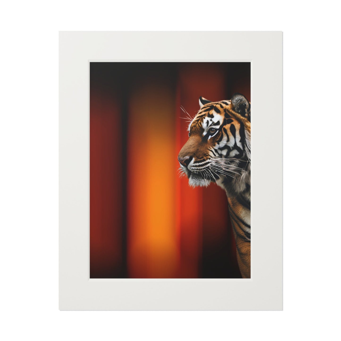 Impresión de Arte Fine Art de Tigre Hermoso con Marco Passepartout