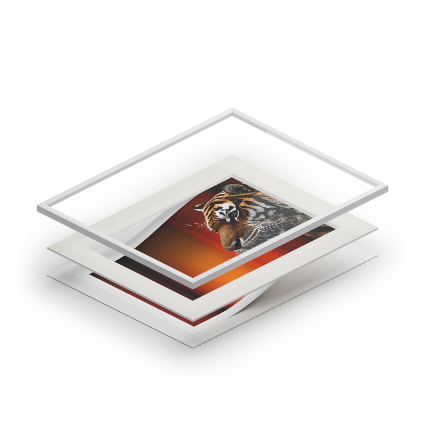 Impresión de Arte Fine Art de Tigre Hermoso con Marco Passepartout