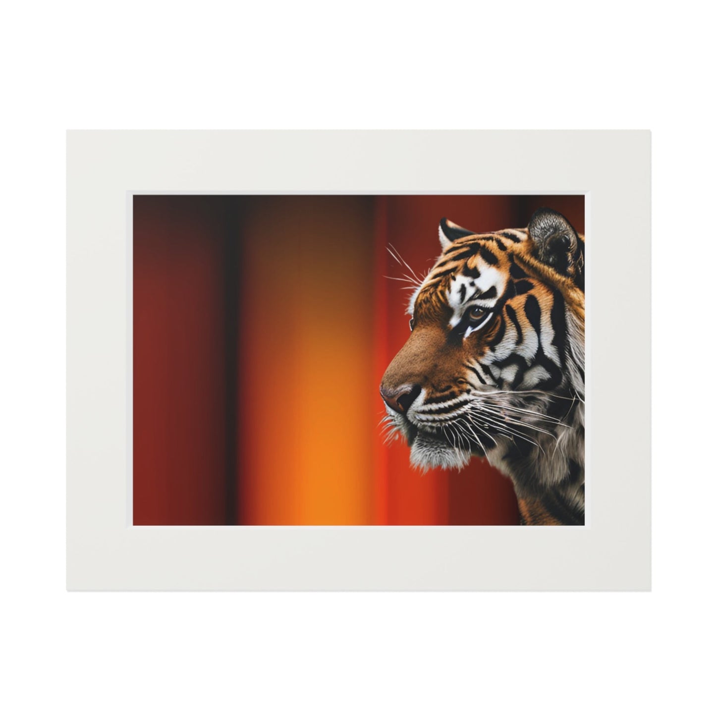 Impresión de Arte Fine Art de Tigre Hermoso con Marco Passepartout