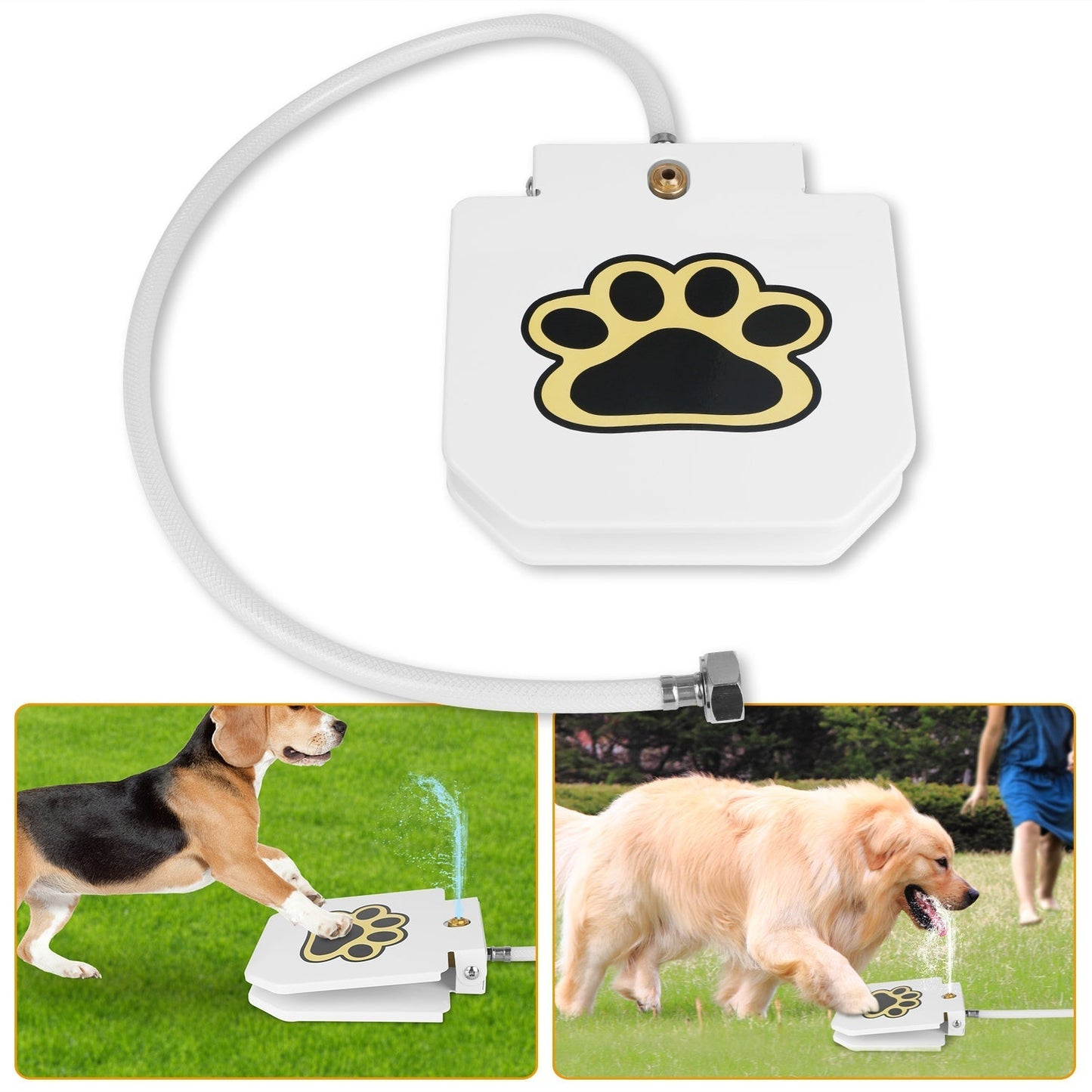Fuente de Agua Premium GBruno para Perros