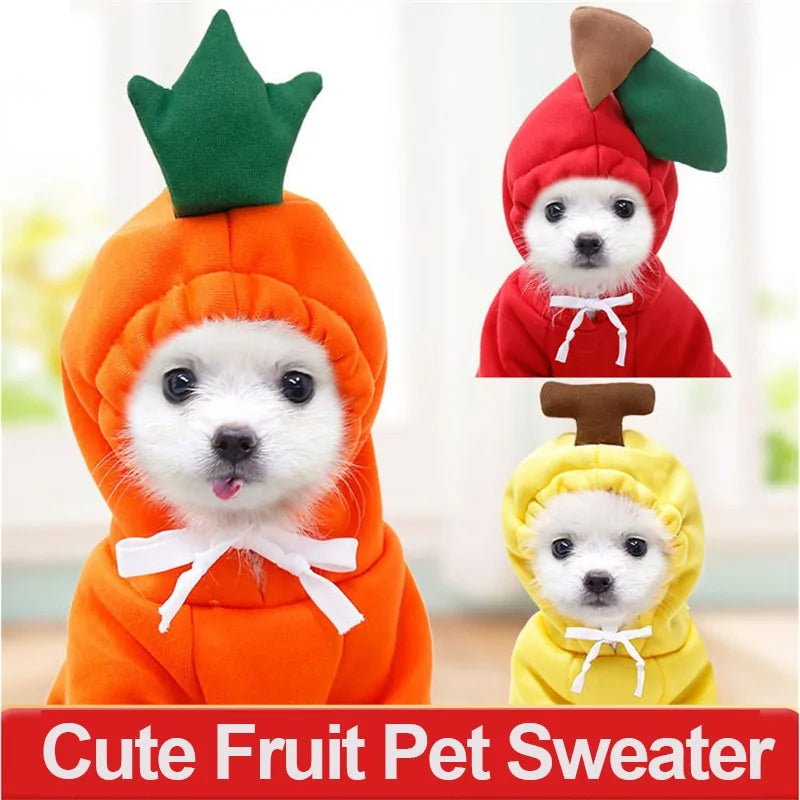 Manteau d'hiver pour chien à thème fruité