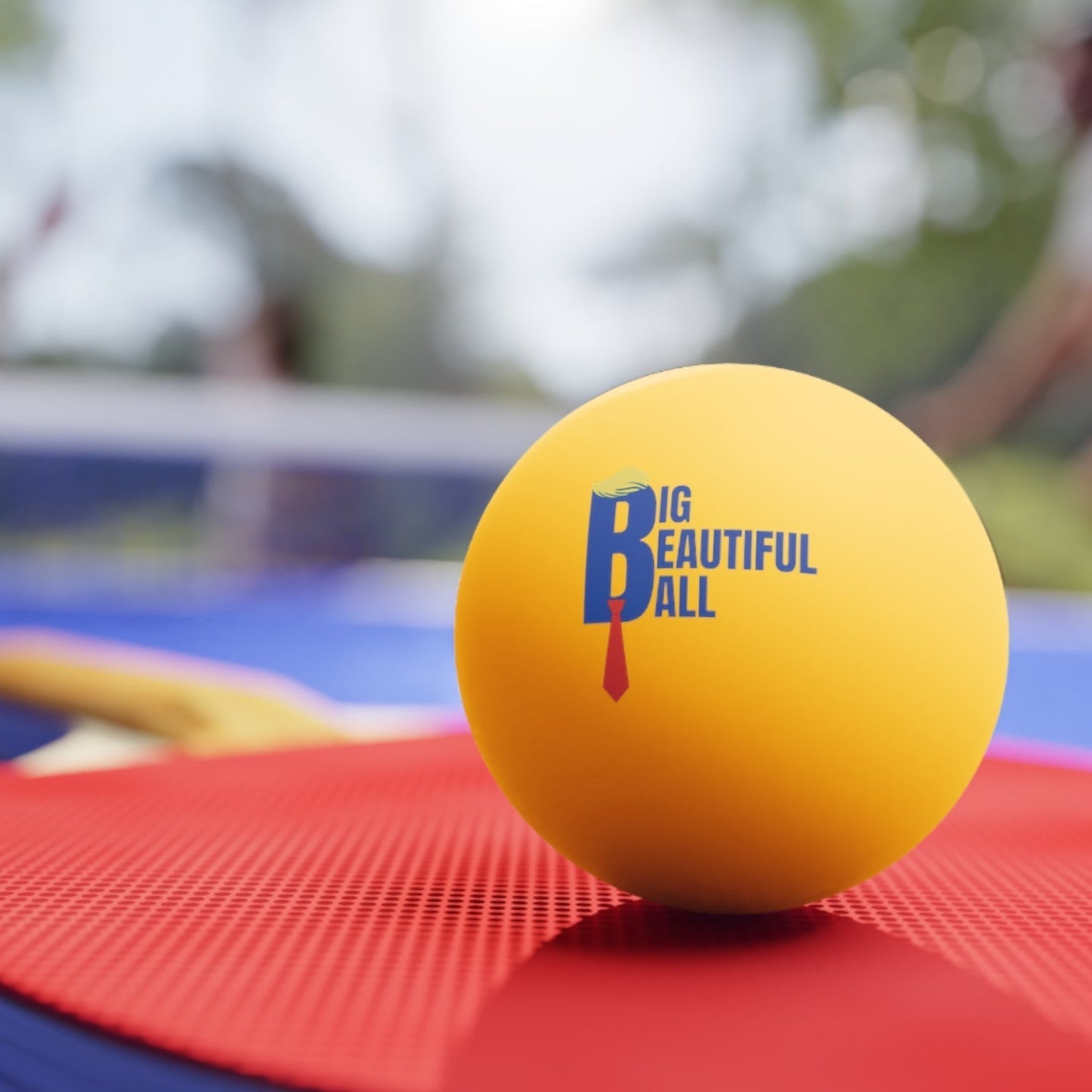 Ultimate Ping-Pong Experience Gift Set - Korvel