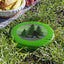 Disque Volant Bigfoot Adventure – Amusement en Plein Air Inspiré par la Nature