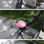 Charming Ladybug Bicycle Bell - Loud Safety Horn for Kids & Adults - Korvel