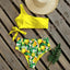 Ensemble de bikini taille haute à une épaule élégant pour femmes