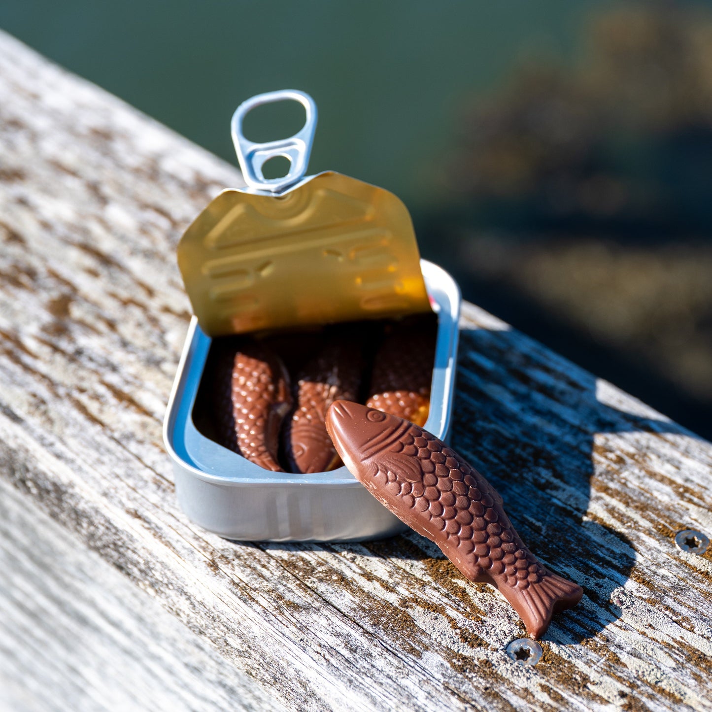 Chocolate Sardines, Tinned - Korvel