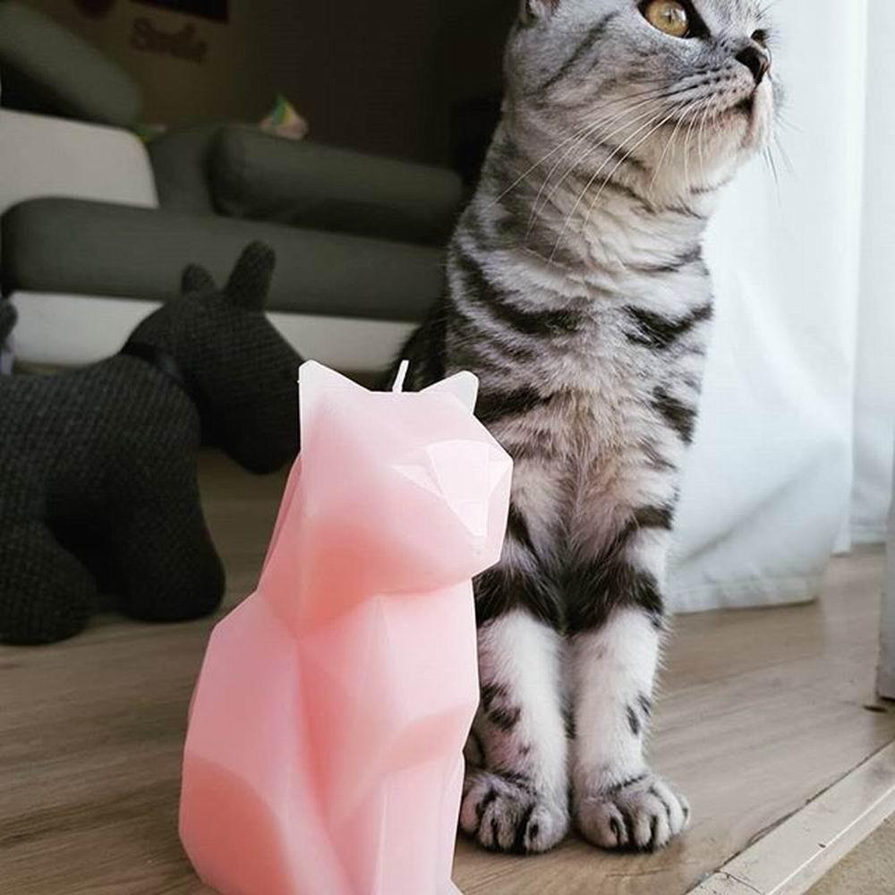 Black Cat Skeleton Candle - Unique Gift for Cat Lovers
