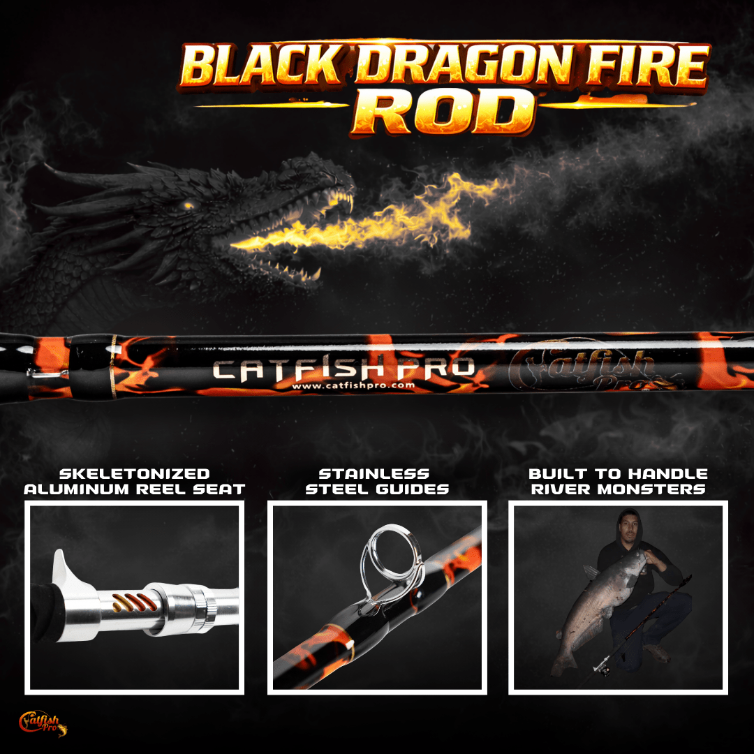 Ultimate Black Dragon Catfish Casting Rod - Korvel