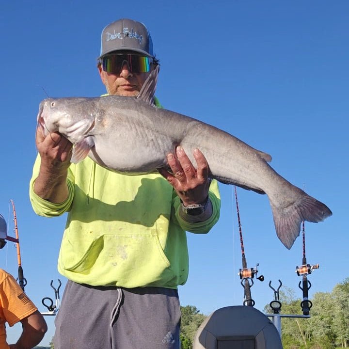 Ultimate Black Dragon Catfish Casting Rod - Korvel
