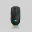 Black USB Rechargeable RGB LED Wireless Mouse