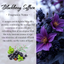 Enchanting Blackberry Saffron Crystal Candle with Obsidian, Blue Apatite, and Quartz | Luxurious Coconut-Soy Blend, 9oz - Korvel