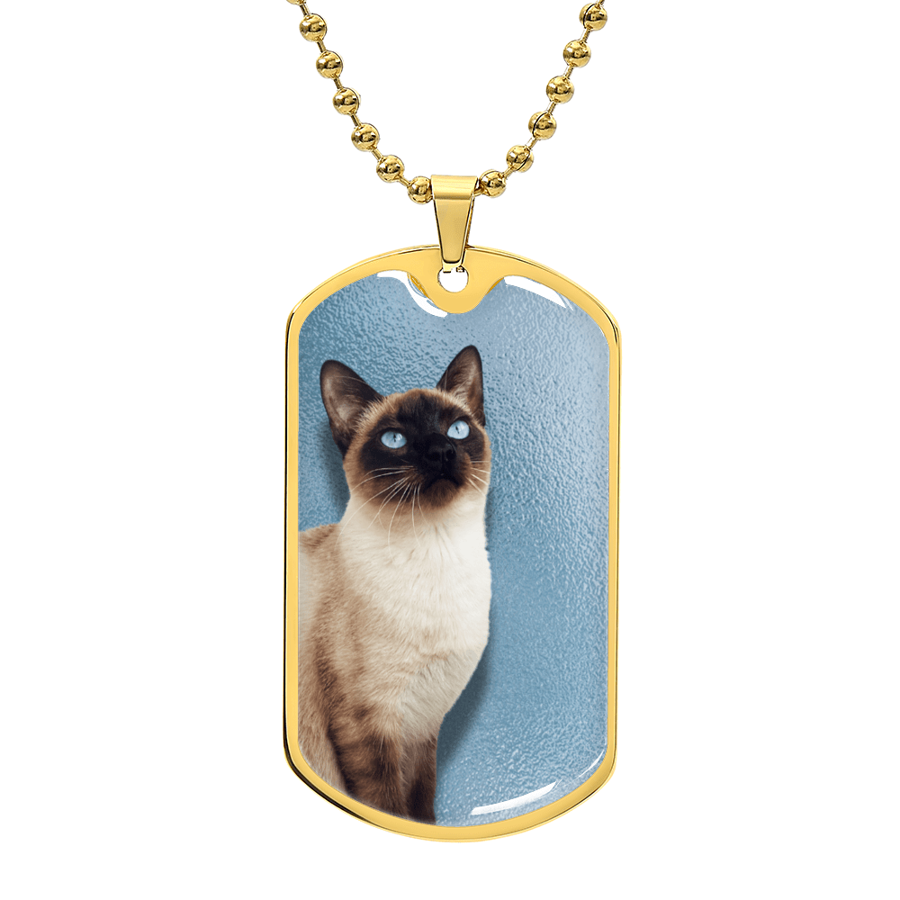 Collar de Siamés de Ojos Azules