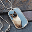 Collar de Siamés de Ojos Azules