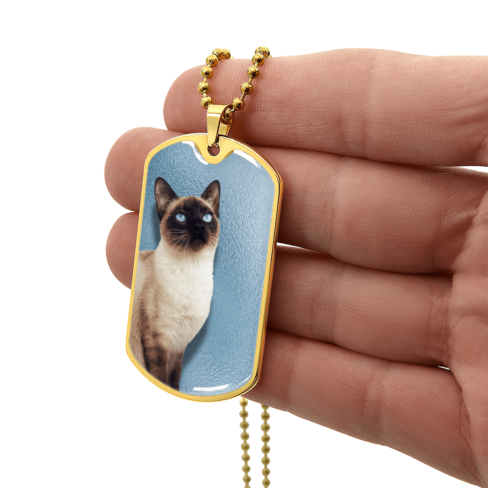 Collar de Siamés de Ojos Azules