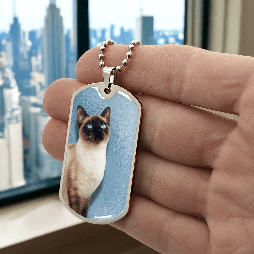 Collar de Siamés de Ojos Azules