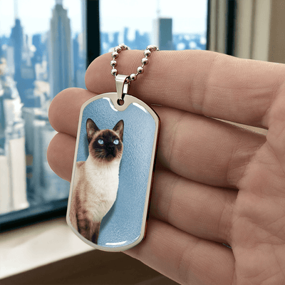 Collar de Siamés de Ojos Azules