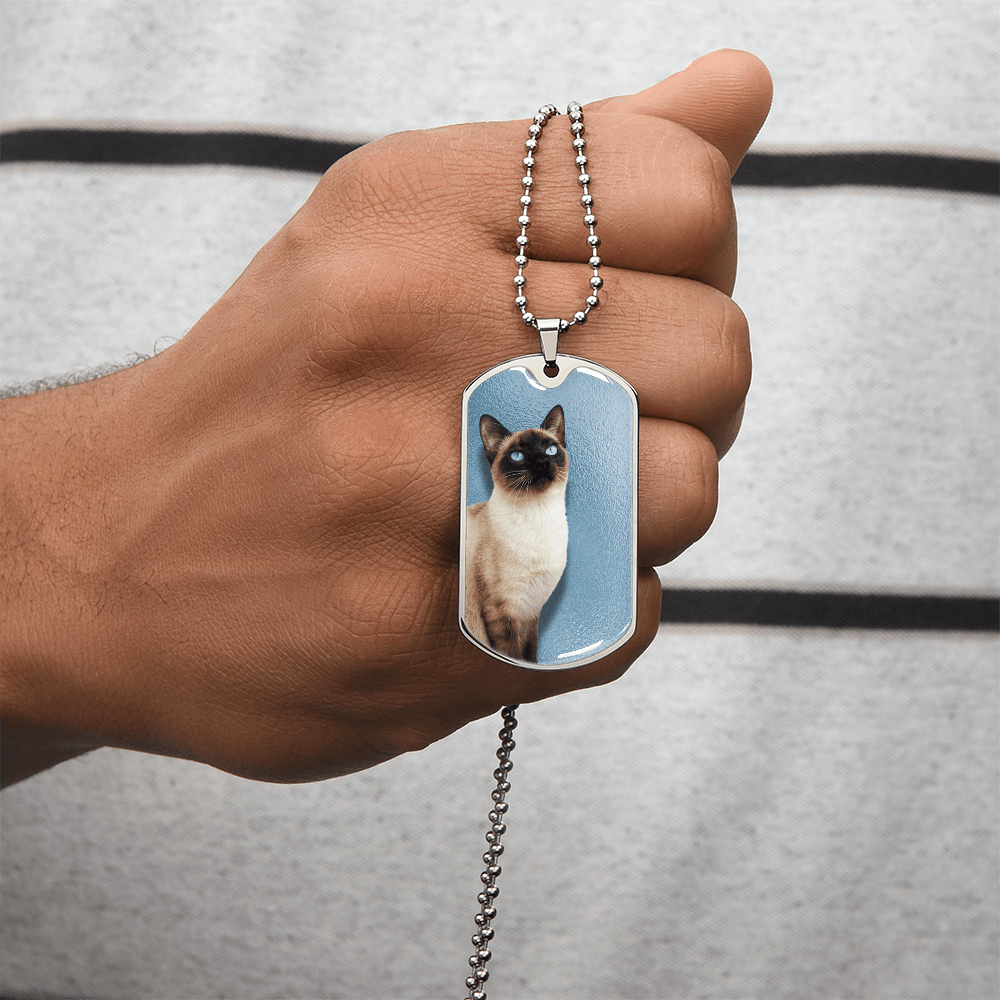 Collar de Siamés de Ojos Azules