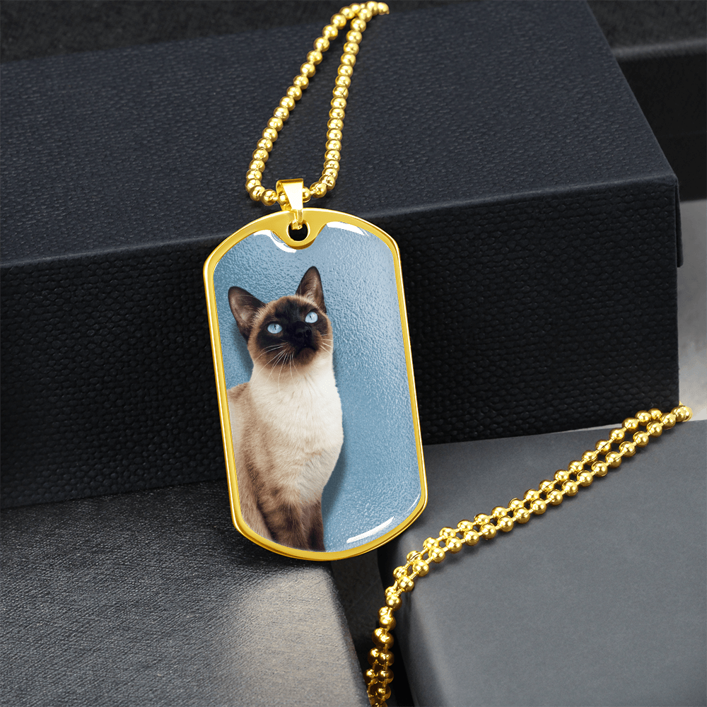 Collar de Siamés de Ojos Azules