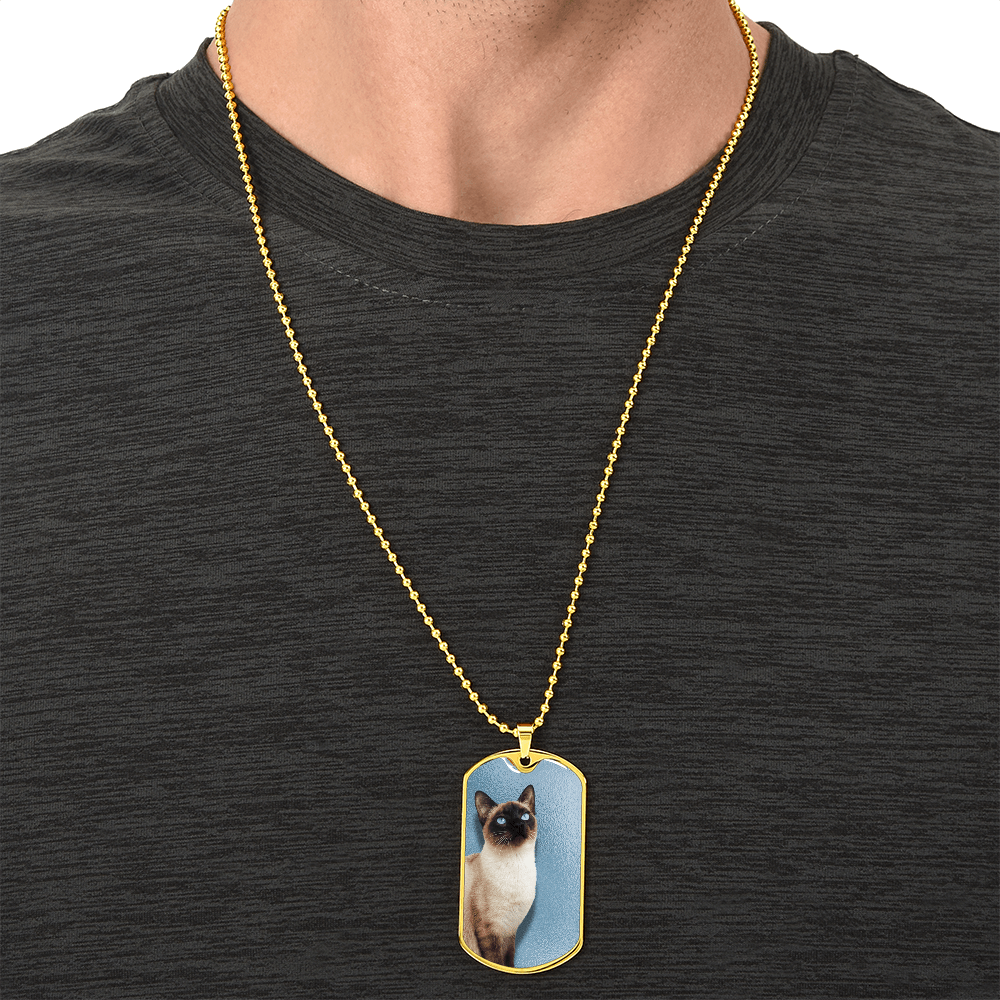 Collar de Siamés de Ojos Azules