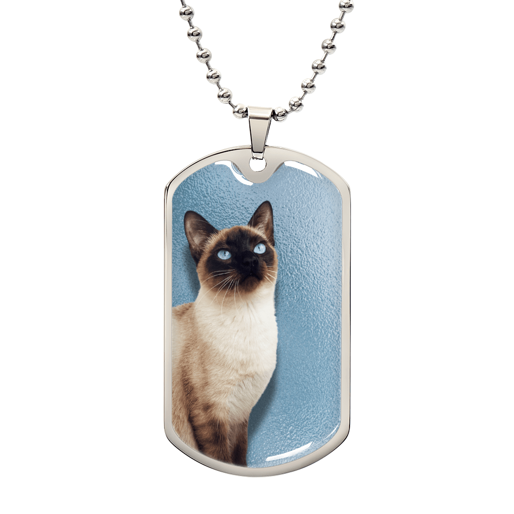 Collar de Siamés de Ojos Azules