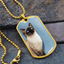 Collar de Siamés de Ojos Azules