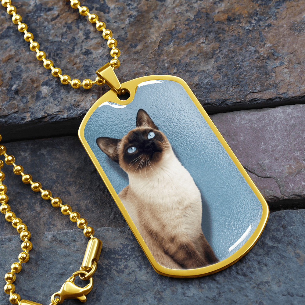 Collar de Siamés de Ojos Azules