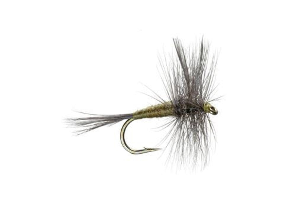 Premium Blue Winged Olive Dry Flies - Set of 6 Size 18 for Trout Fishing - Korvel