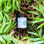 Enchanted Forest Soy Wax Candle - Moss, Rain, and Musk Essence - Korvel