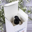 Luxurious Vanilla Body Lotion - Madagascar & French Essence - Korvel