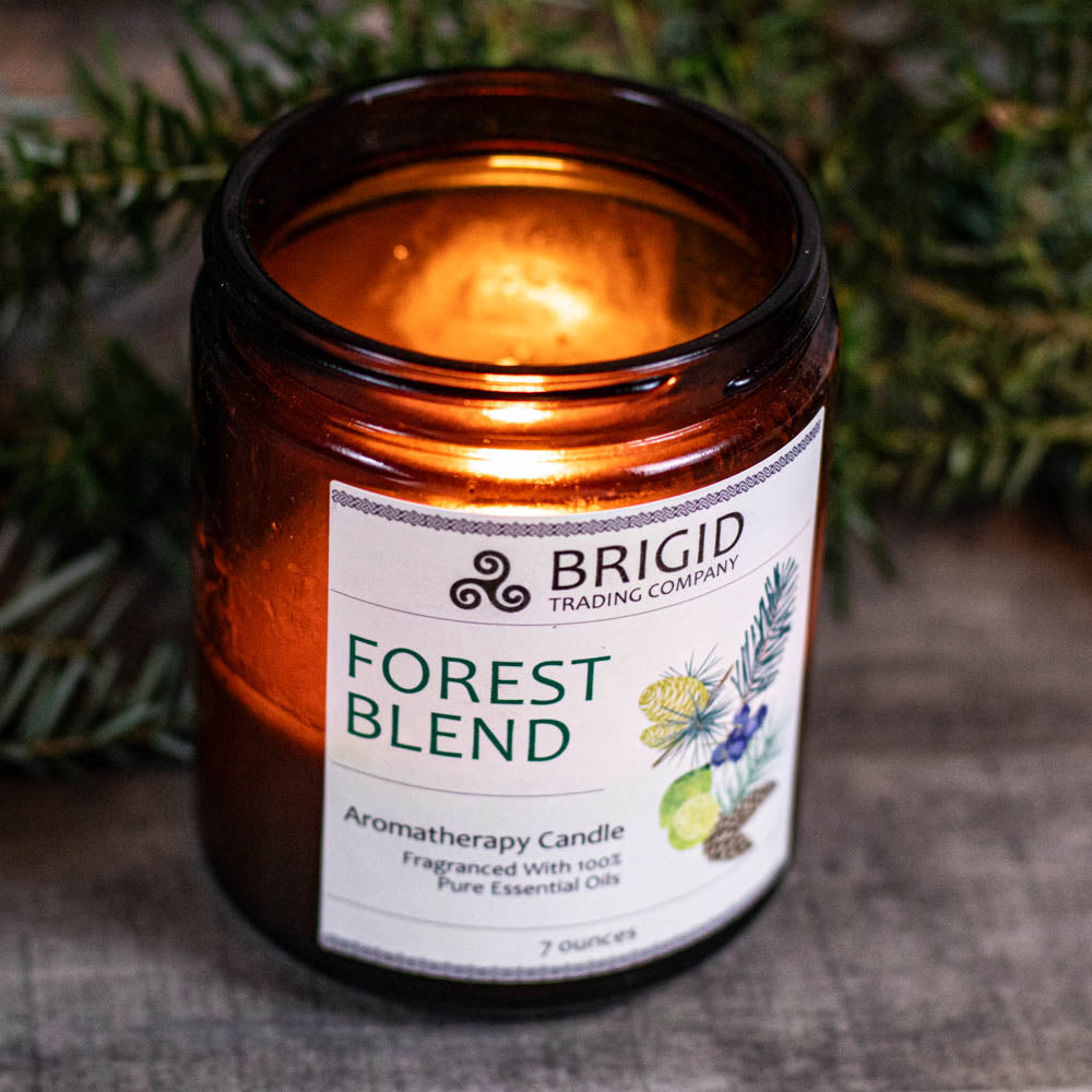Enchanting Forest Blend Soy Wax Candle - Juniper, Pine, Balsam, Cedar & Lime - Korvel