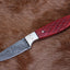 Cowboy's Companion: Buckaroo Damascus Steel Waist Knife with Bone Handle - Korvel