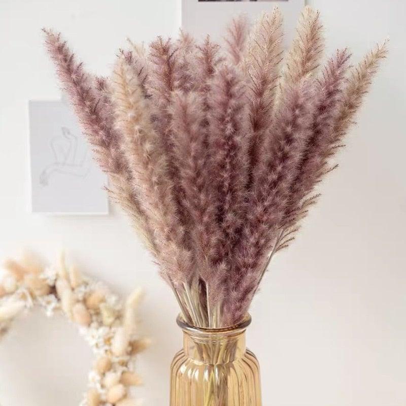 Bulrush Natural Dried Pampas Grass for Elegant Home Decor