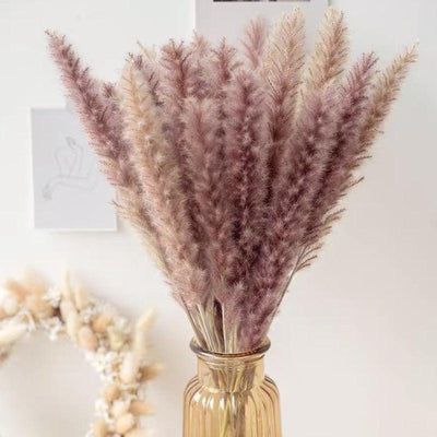 Bulrush Natural Dried Pampas Grass for Elegant Home Decor