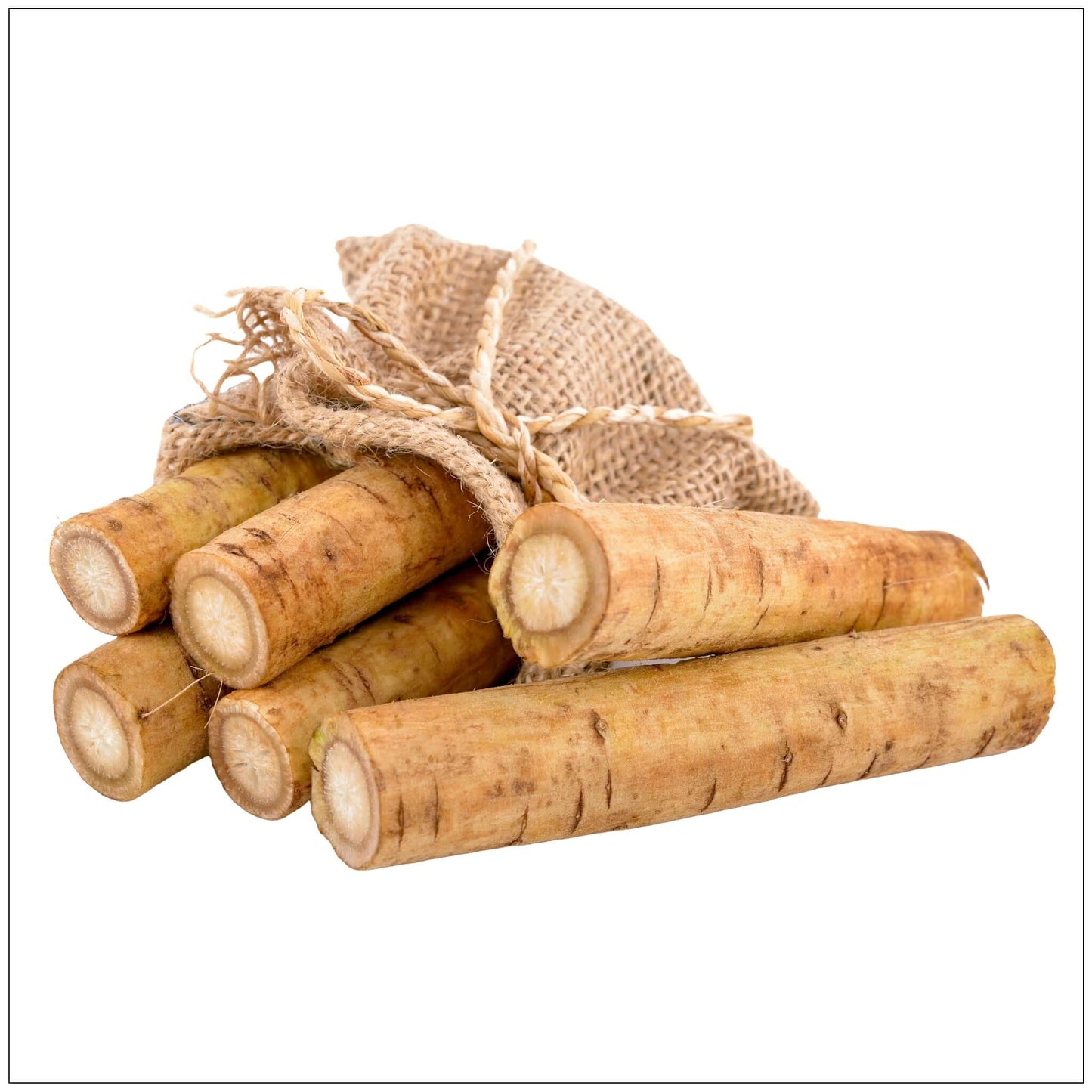 Premium Burdock Root - Fresh & Nutty Flavor