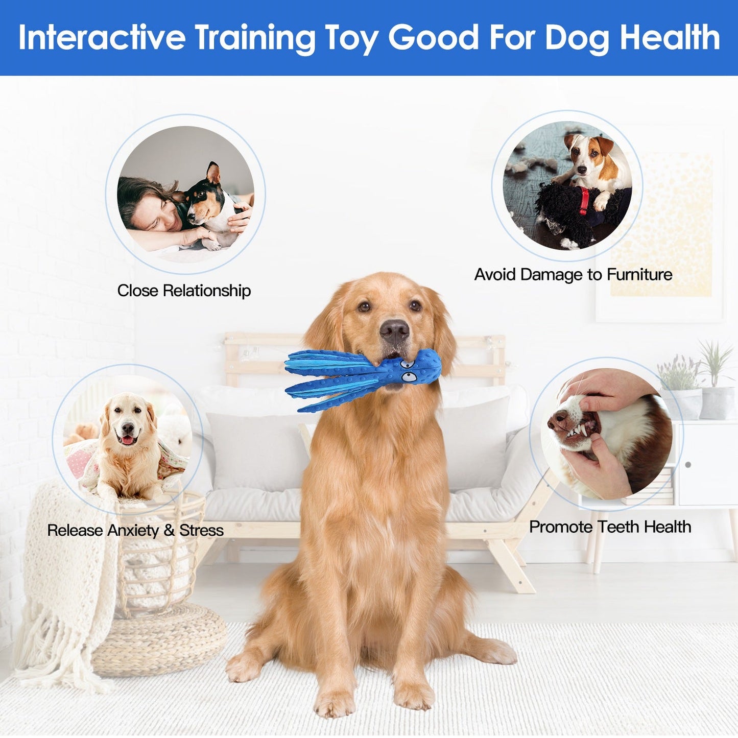 GBruno 2-Piece Squeaky Dog Toy Set