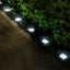 4-Pack Solar Ground Lights for Pathway and Patio