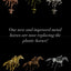 Safari Theme XL 18” x 30” Horse Race Game - Korvel