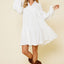 Johnny Collar Balloon Sleeve Mini Dress for Women