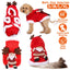 Costume de Père Noël pour animaux de compagnie GBruno pour Noël