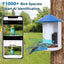 GBruno Smart Bird Feeder with HD Camera