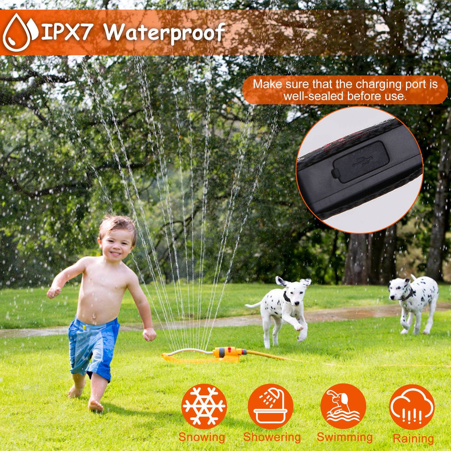Collar para Perros GBruno con Luz LED