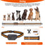 Collar de Entrenamiento para Perros GBruno 984FT