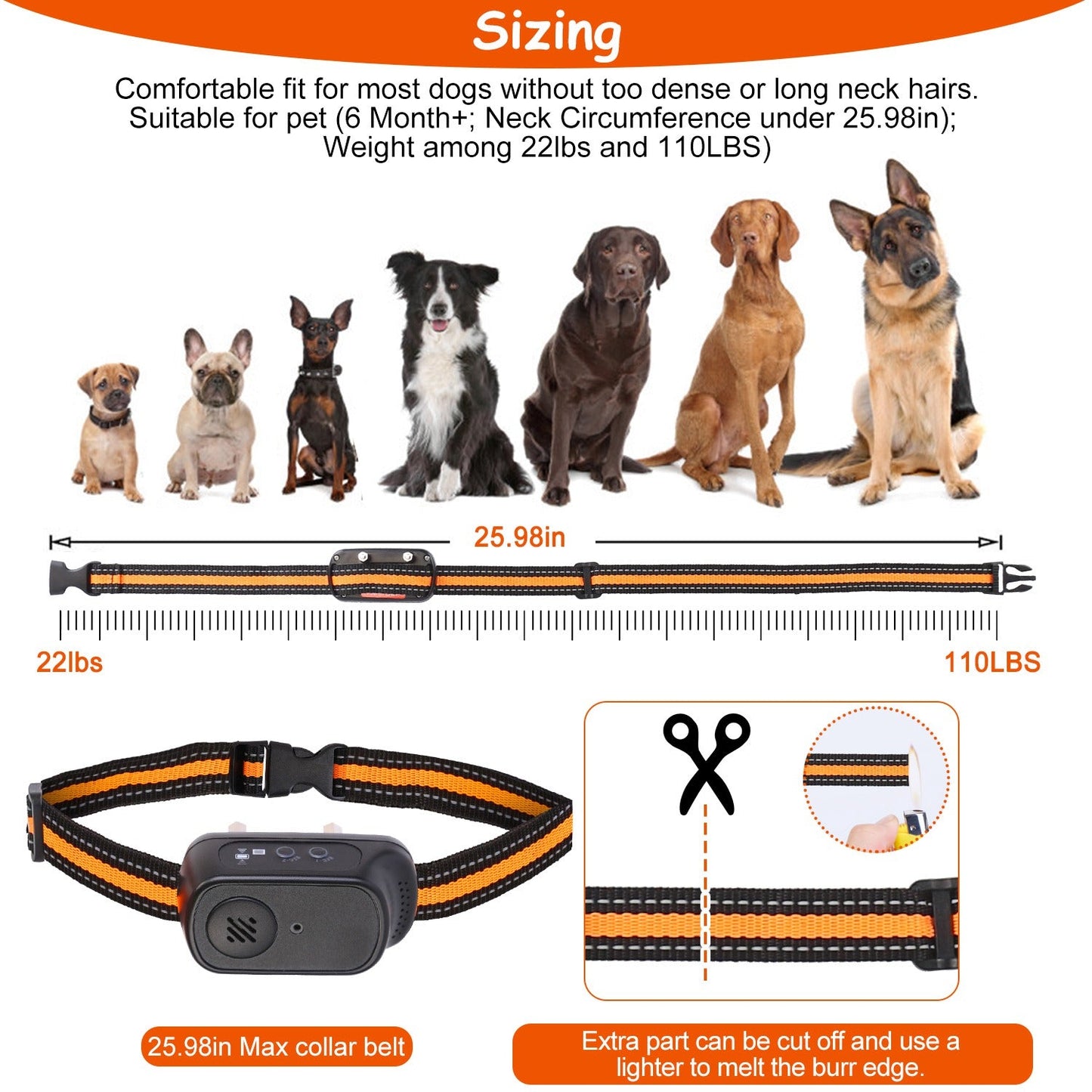 Collar de Entrenamiento para Perros GBruno 984FT