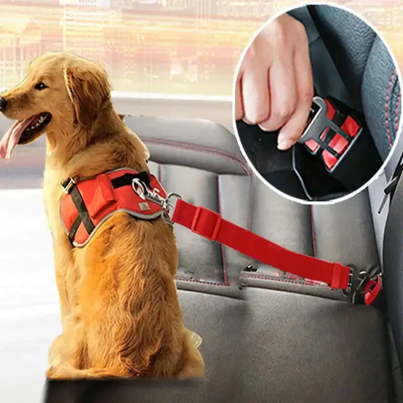 Cinturón de Seguridad Ajustable para Perros para un Viaje Seguro