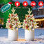 Relleno de Urna de Árbol de Navidad Iluminado Solar - 2 Pcs