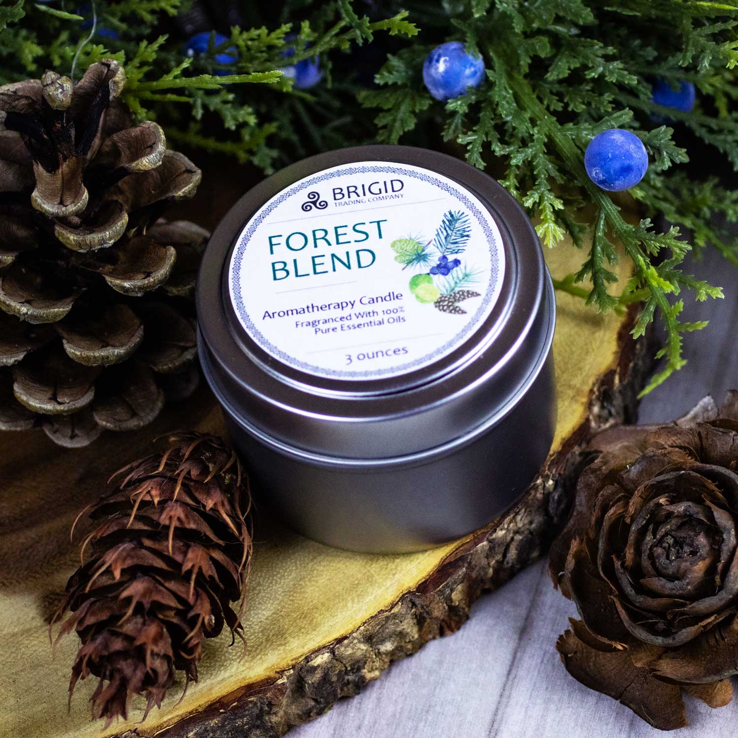 Enchanting Forest Blend Soy Wax Candle - Juniper, Pine, Balsam, Cedar & Lime - Korvel