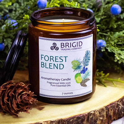 Enchanting Forest Blend Soy Wax Candle - Juniper, Pine, Balsam, Cedar & Lime - Korvel