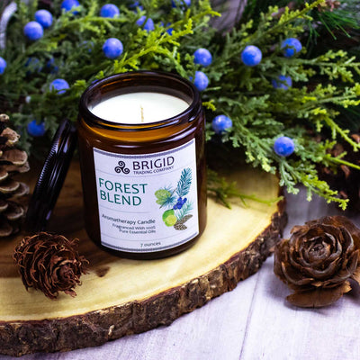 Enchanting Forest Blend Soy Wax Candle - Juniper, Pine, Balsam, Cedar & Lime - Korvel